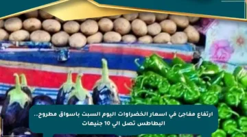 ارتفاع مفاجئ في أسعار الخضراوات اليوم السبت بأسواق مطروح.. البطاطس تصل إلى 10 جنيهات